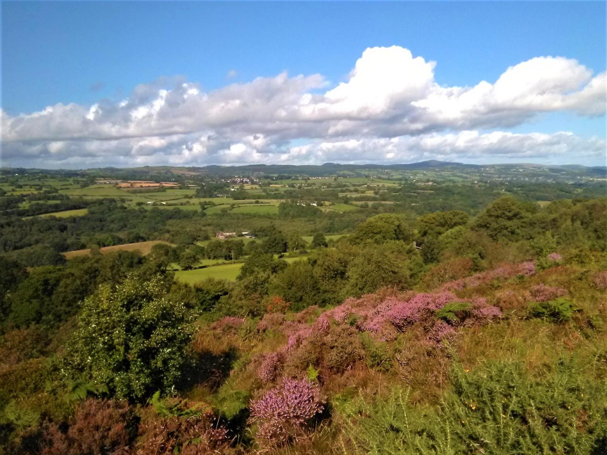 Tranquil Countryside Cottage For Two Wrexham Eksteriør bilde